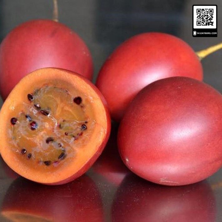 Hạt giống cà chua thân gỗ (cà chua Tamarillo) - Gói 4 hạt