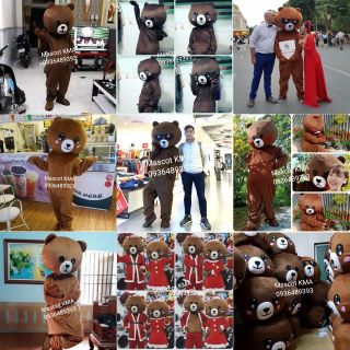Tổng kho Mascot bộ đồ Gấu Brown cao cấp loại 1