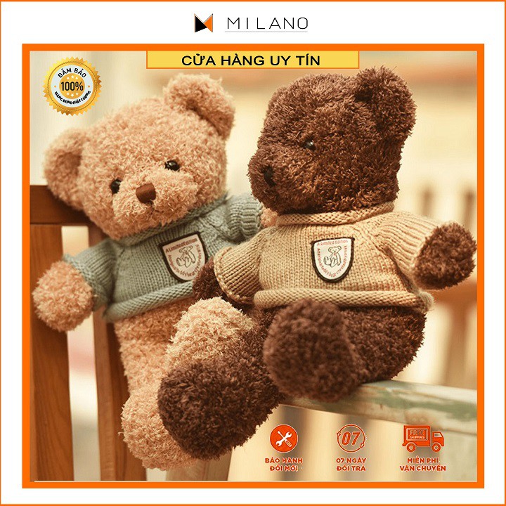 Gấu bông teddy head tales siêu đẹp bông gòn cao cấp size 40cm