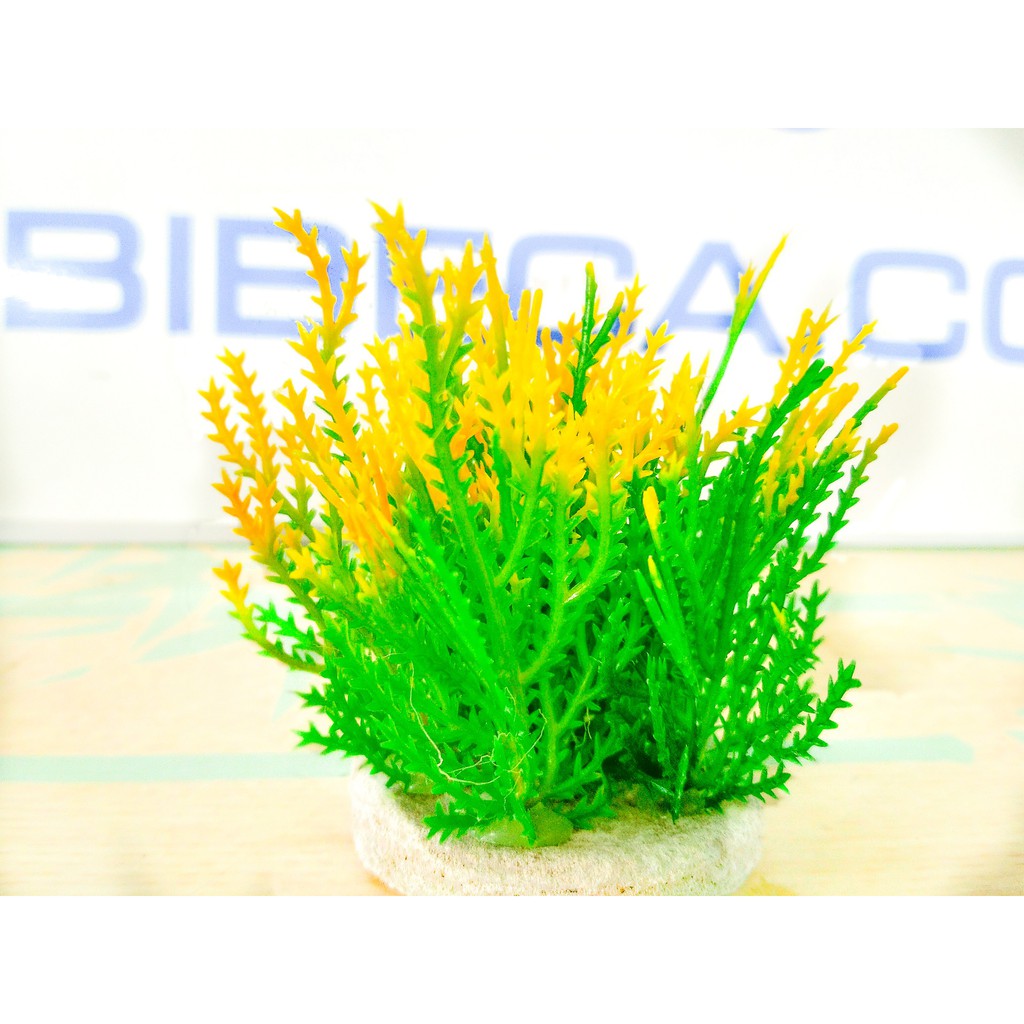 Bộ trang trí bể cá 5 cây nhựa thấp màu xanh