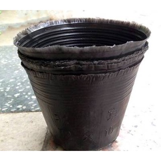 (giá rẻ) 100 cái bầu ươm cây bằng nilong dẻo 12x10 cm