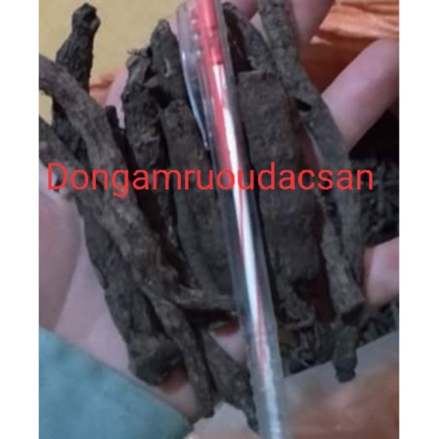 Sâm cau đen tiên mao khô rừng Tây Bắc 1kg