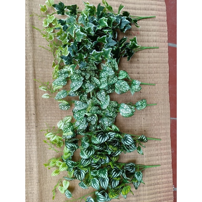Cụm cành trầu bà chuyên dùng trang trí tường và ngoài vườn giống thật 99%