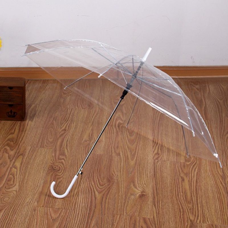 Dù trong suốt phong cách hàn quốc / Ô dù đi mưa, đi du lịch , chụp hình ngoại cảnh