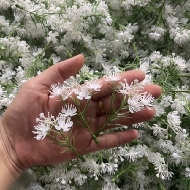 Hoa baby trắng cắm điểm trang trí Handmade 100g