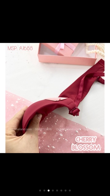 Áo lót định hình đệm vừa . | BigBuy360 - bigbuy360.vn