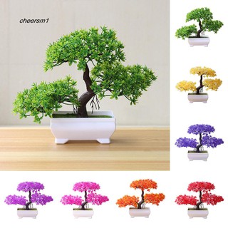 Chậu cây bonsai giả trang trí nhà cửa