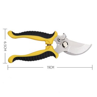 Kéo cắt tỉa cành cây