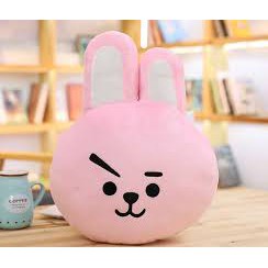 [Hàng Có Sẵn]Gối ôm bông mềm BT21 IDOL