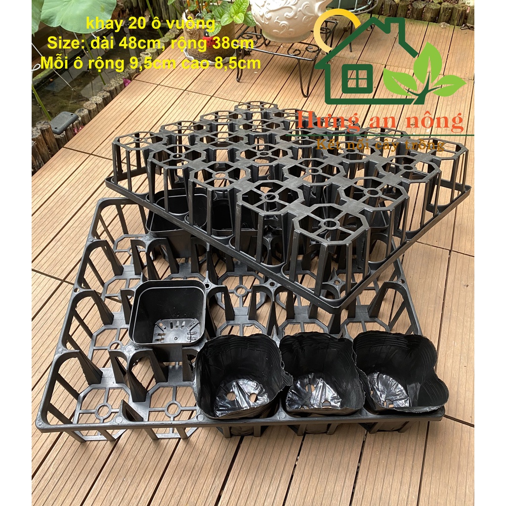 CNVN - Set 5 khay chữ nhật ô tròn ô vuông dùng chứa chậu ươm trồng sen đá xương rồng cây cảnh giò lan.