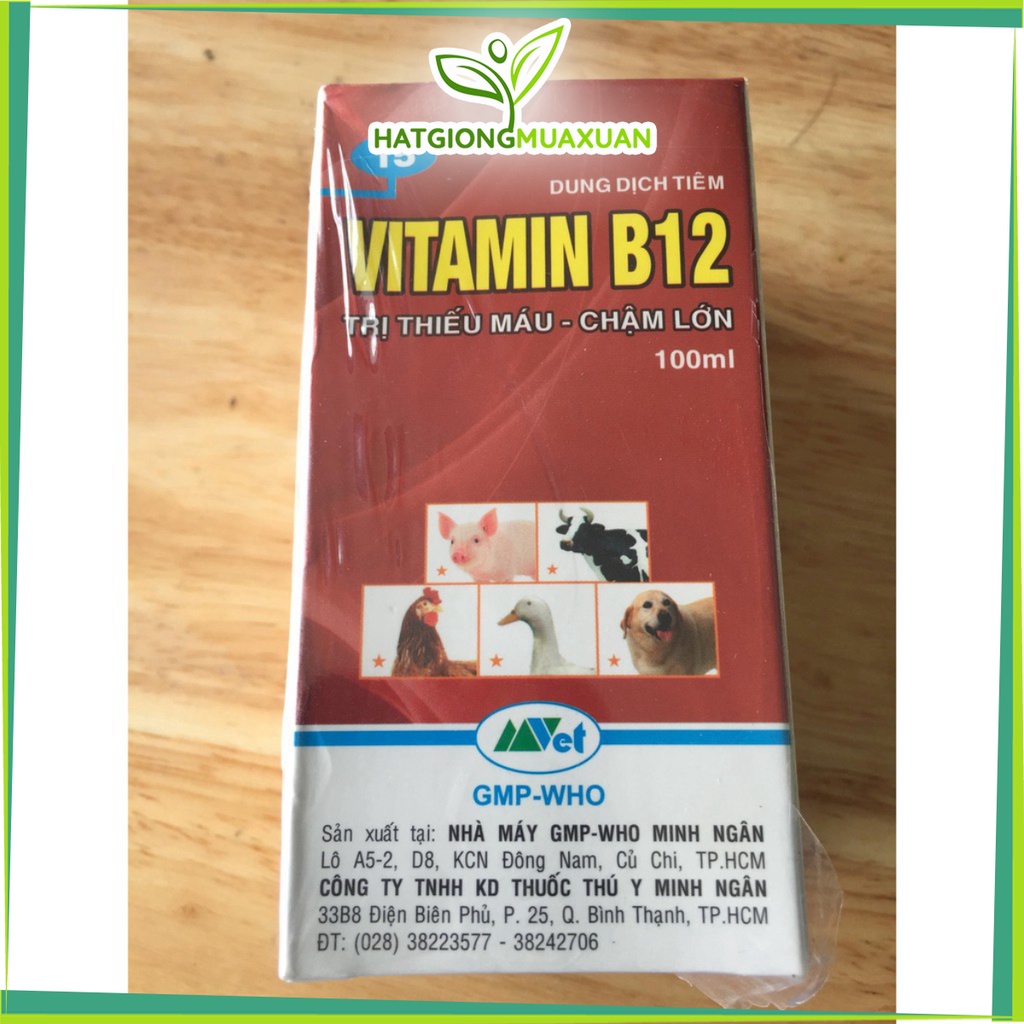 [SIEURE] Vitamin B12 (100ml) giải độc, sốc phân, sốc thuốc cây lan, không phun rễ hàng đẹp, phân phối chuyên nghiệp.