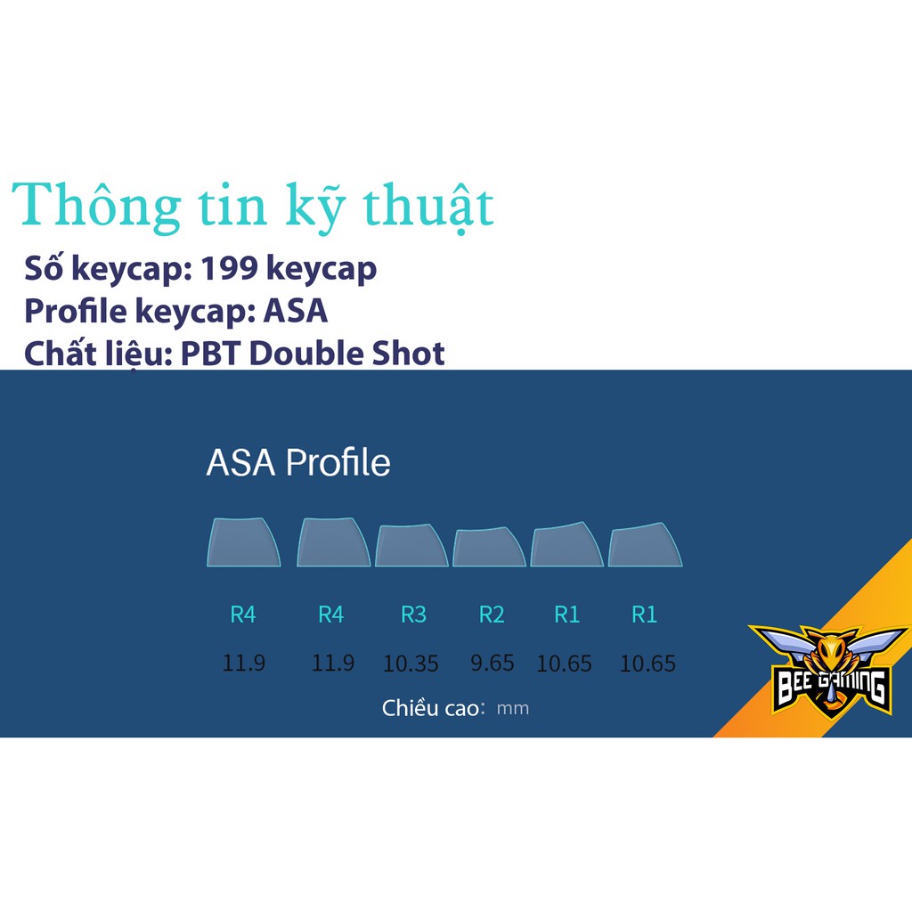 Bộ keycap AKKO Macaw (Chất liệu PBT Double Shot, ASA Profile, 199 nút)