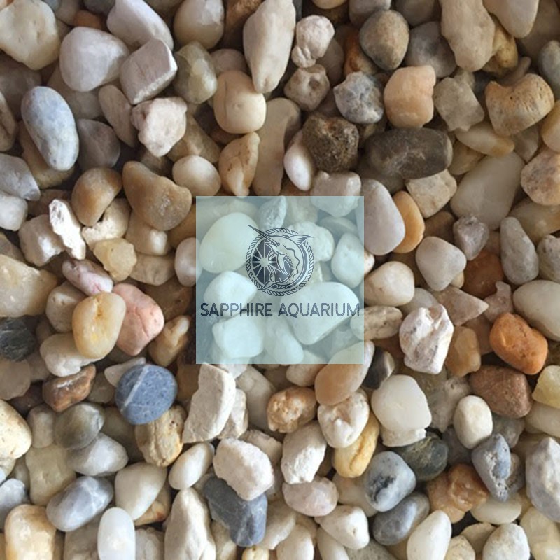 Sỏi 3 Màu Trang Trí Bể Cá