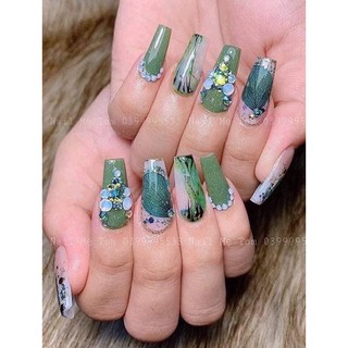 hoa khô ẩn gel nail