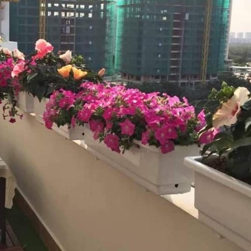 Combo 05 chậu dài thông minh kích thước 48x20x16 cm