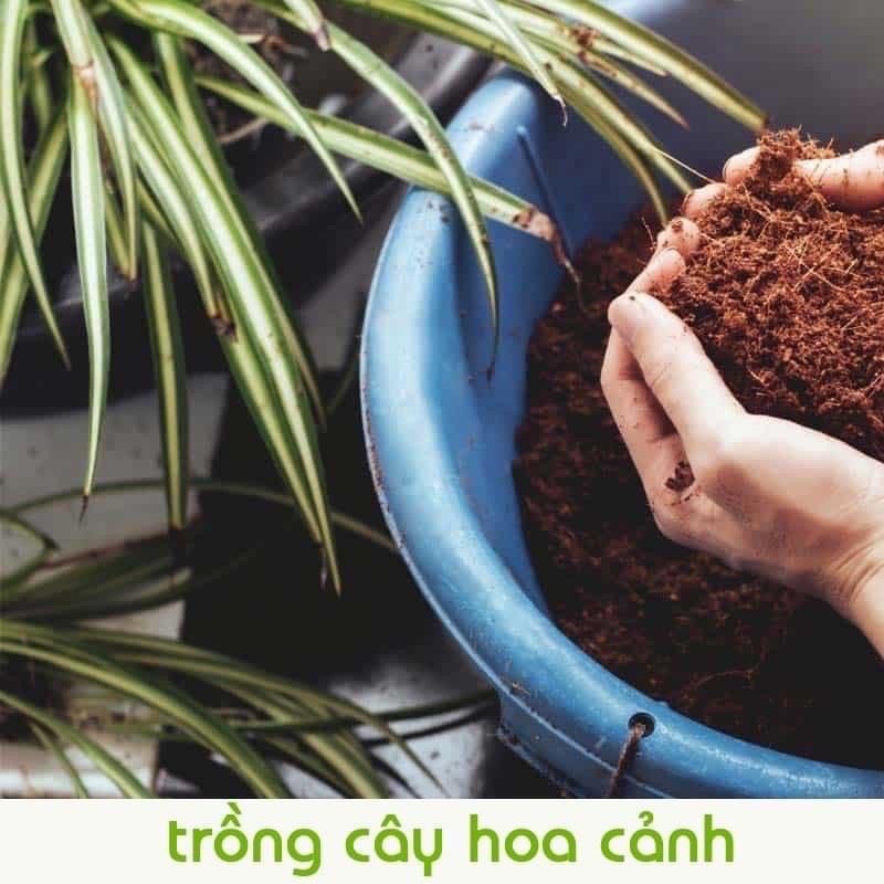 Viên Đất Nén Xơ Dừa Tiện Ích diệt khuẩn kháng sâu bệnh bổ sung vi sinh hữu cơ cho cây trồng - hoa - rau các loại