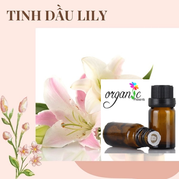 TINH DẦU HOA LILY