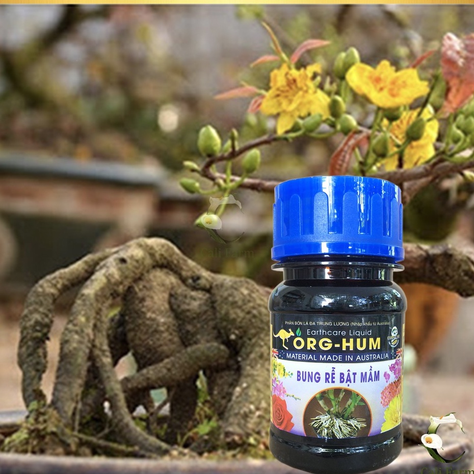 Phân bón lá Org Hum Ra Rễ Bật Mầm 100ml