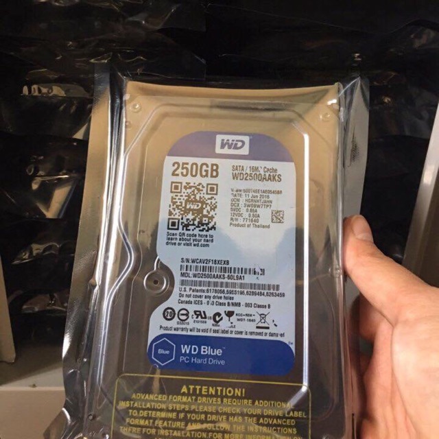 Ổ cứng Western Digital Caviar Blue 250GB SATA 16MB Cache - Bảo hành 1 tháng