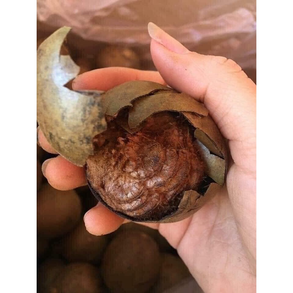 SET 10 QUẢ LA HÁN (TO, GIÀ) - LA HÁN SẤY KHÔ