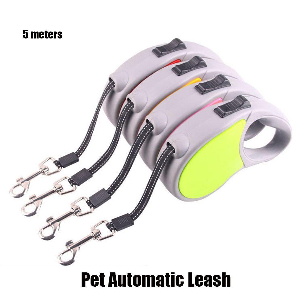 Dây Dẫn Thú Cưng Đi Dạo Tự Động 5m