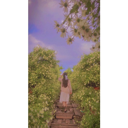 🎀Kẹp tóc nơ voan công chúa , kẹp tóc cô dâu cỡ lớn