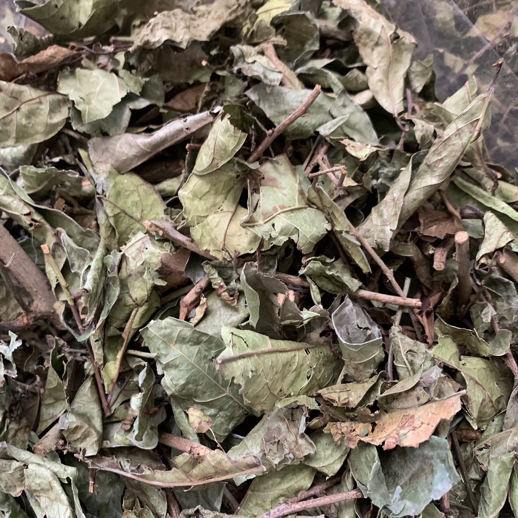 Xạ đen hòa bình , Lá xạ đen khô 1kg