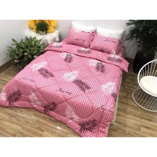 Set poly chăn phao siêu rẻ