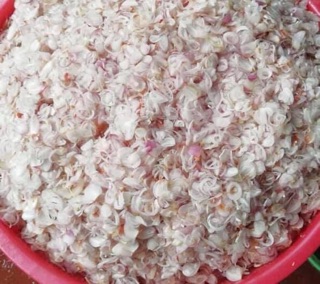 hành phi khô lý sơn