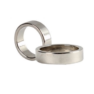 Ảo thuật nhẫn nam châm pk ring [ Freeship ]