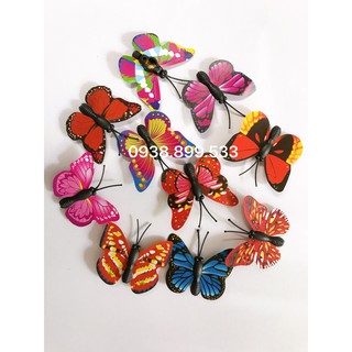 Set 10 bướm nhựa trang trí bánh kem