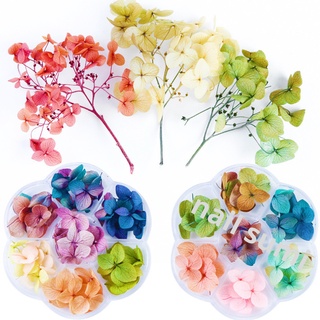 Hoa khô lụa cánh to trang chí móng nail