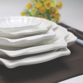 Đĩa sứ cách điệu hình sò (ảnh thật)