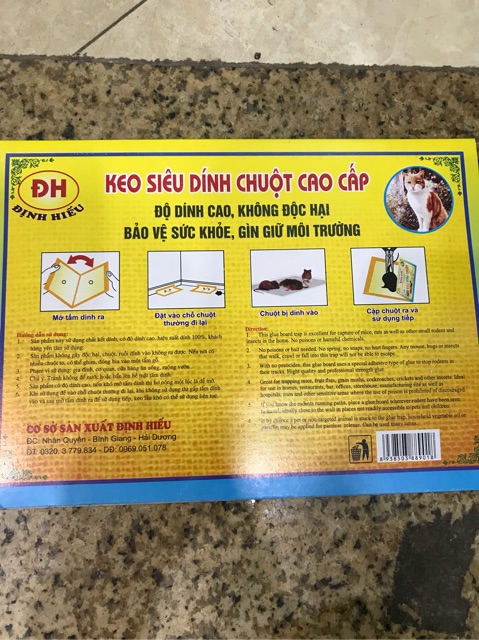 Keo siêu dính chuột