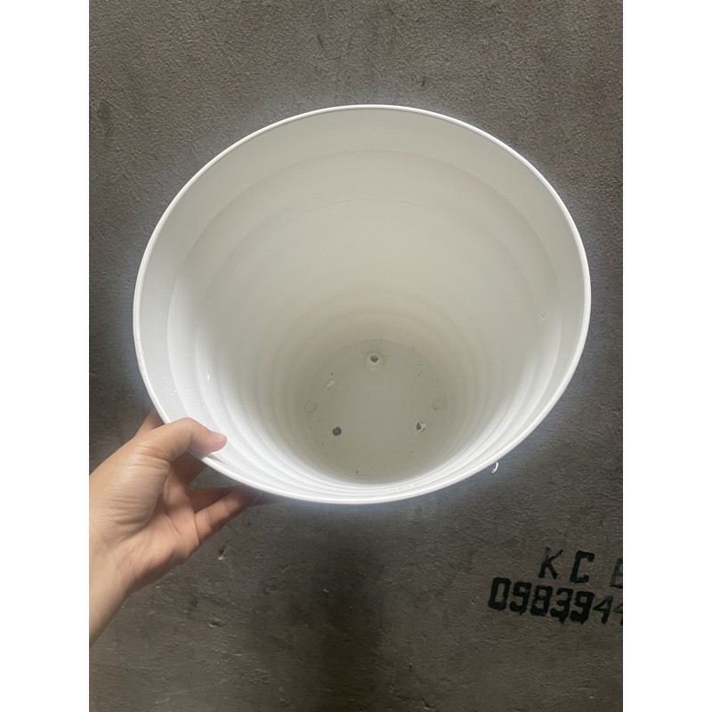 Chậu nhựa tròn xoắn trồng cây thật ,cây giả