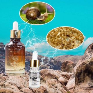 Serum WYNN chống lão hoá. Trẻ hóa da serum vàng 24k
