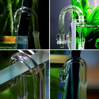 Van Kiểm Tra Co2 Cho Bể Cá