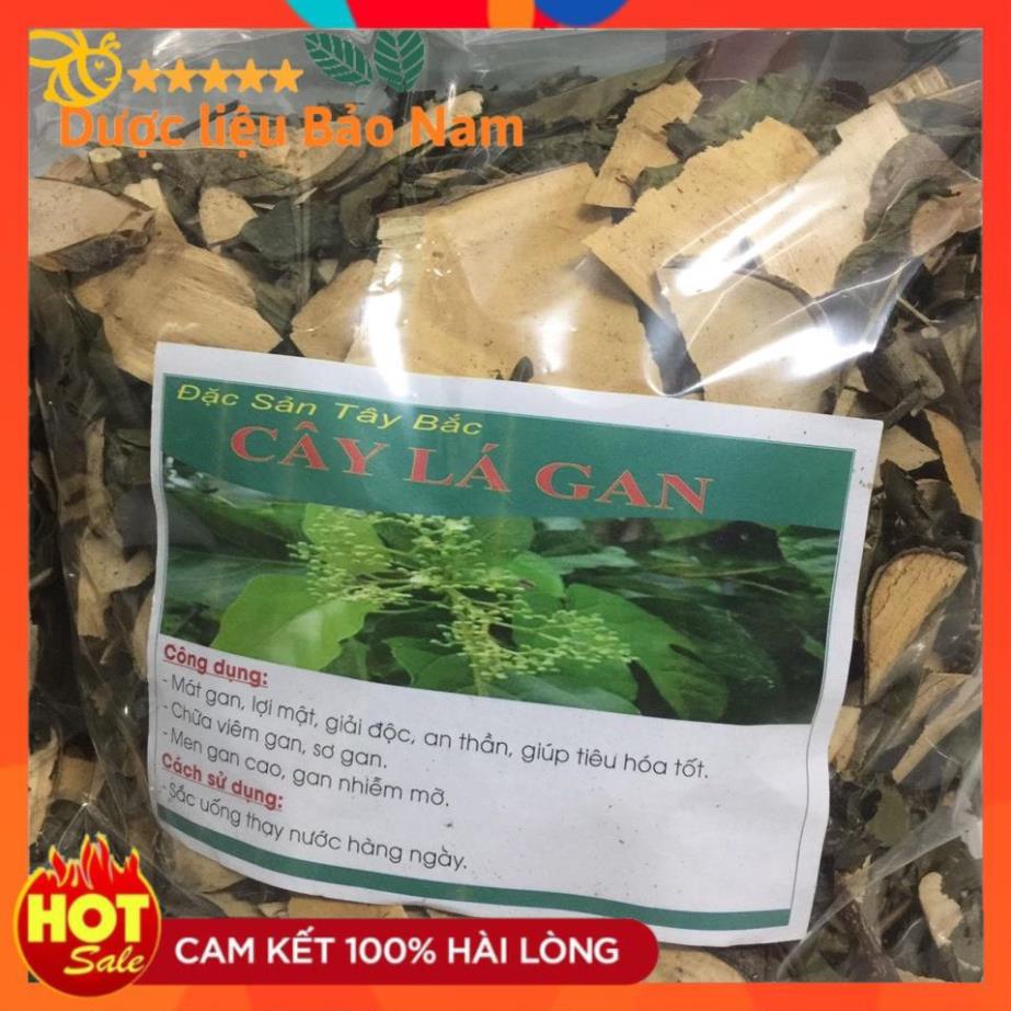 Cây lá mát gan - Sản phẩm hỗ trợ giải độc gan, mụn nhọt, tiêu hóa kém
