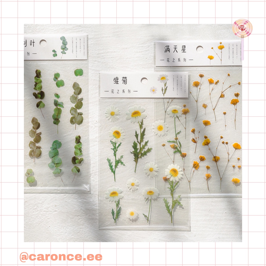 Sticker hoa lá thơ mộng trang trí