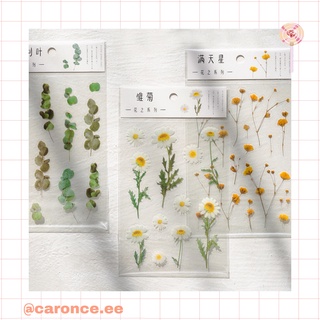 Sticker hoa lá thơ mộng trang trí