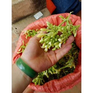 Hoa đu đủ đực khô