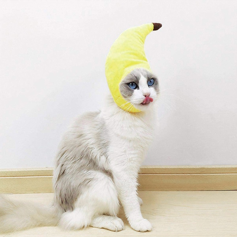 Mũ Đội May Mắn Dành Cho Thú Cưng Chó Mèo