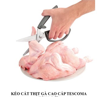 KÉO CẮT GÀ TESCOMA