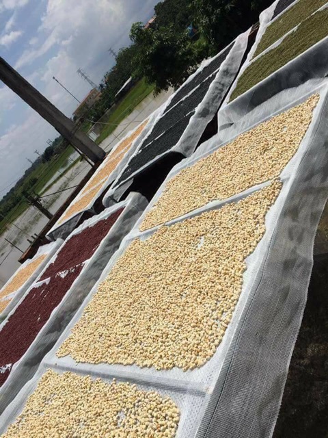 Ngũ cốc lợi sữa 1 kg gồm 15 loại hạt cao cấp bột mịn thơm tăng cân dinh dưỡng