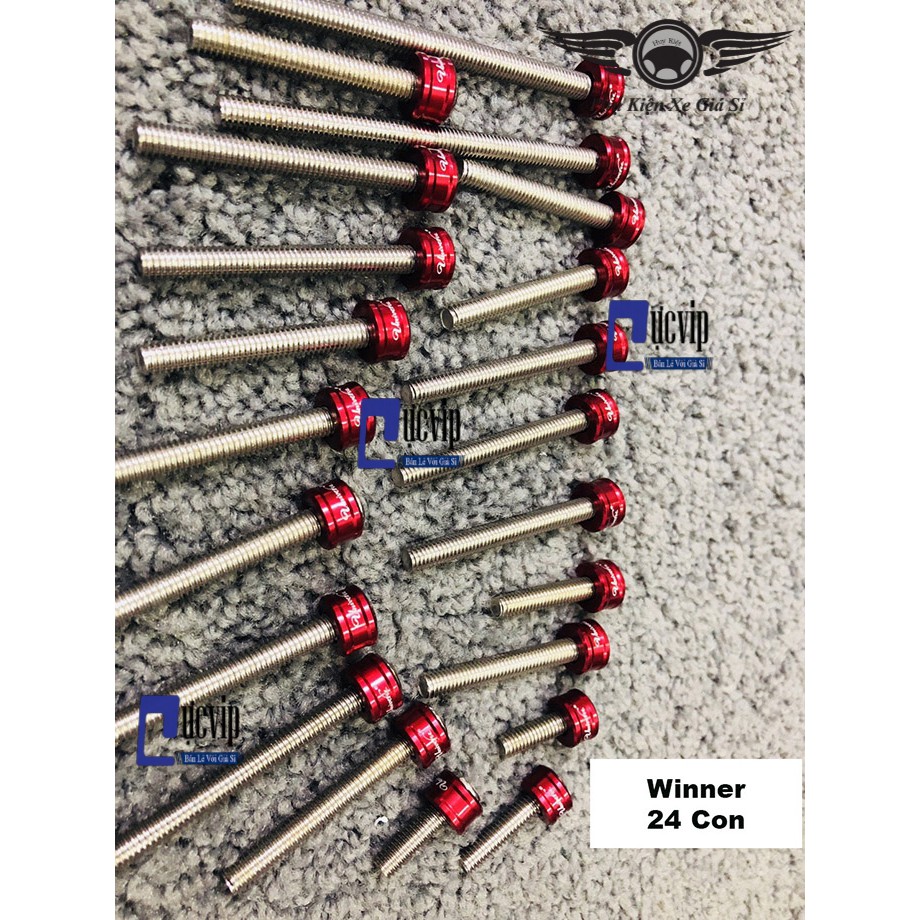 Dùng Cho Xe Winner - Bộ Ốc Máy Lông Đền Nhôm CNC