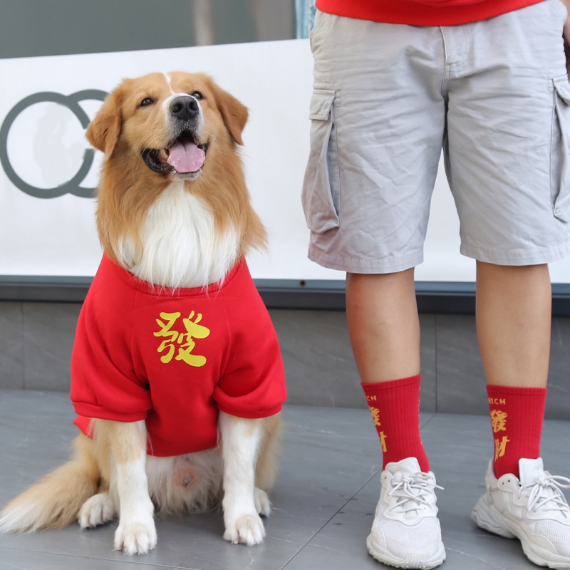 Áo tết cho chó mèo,áo tết chó lớn nhỏ,quần áo thú cưng size lớn có kèm túi chất nỉ cao cấp giá rẻ2022  từ 1kg -dưới 60kg