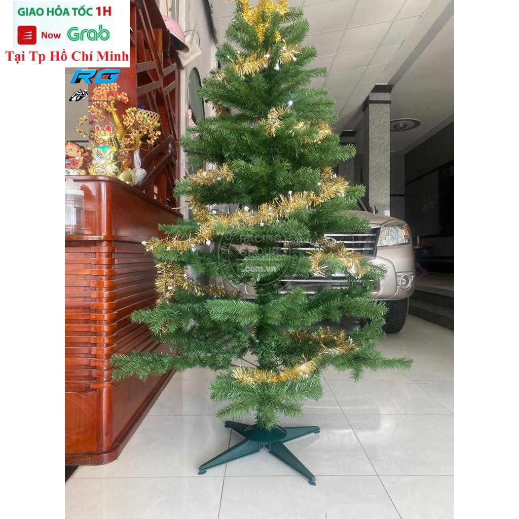 Cây Thông Noel 1m8 Tặng 1 Ngôi Sao Và 4 Dây Kim Tuyến Hàng Việt Nam Cao Cấp Cây Thông Trang Trí Noel Giáng Sinh