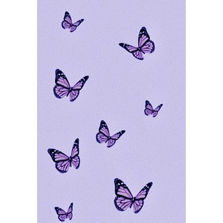 [FREESHIP EXTRA] 12 tấm Wall Collage - theme Lavender
