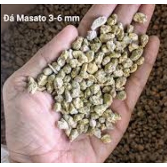 Đá Masato trồng sen-rải mặt- giữ màu sen cực tốt 1kg