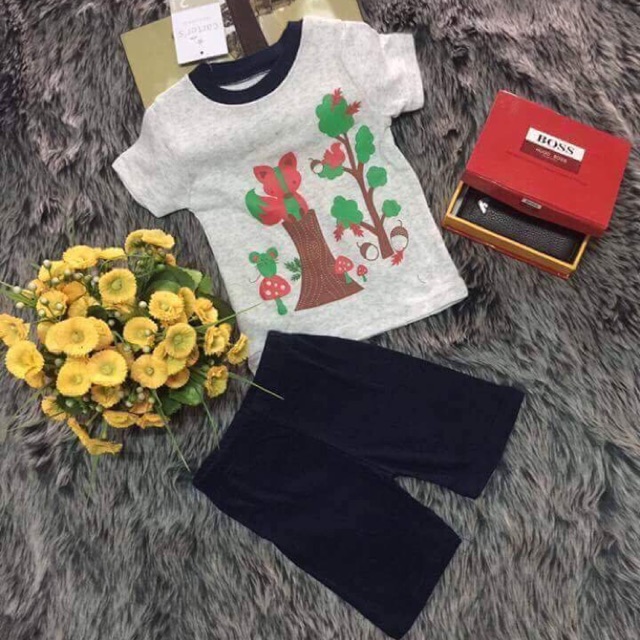 Combo 4 bộ bé trai carter